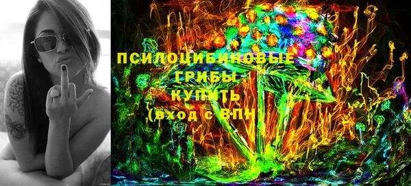 шишки Бронницы